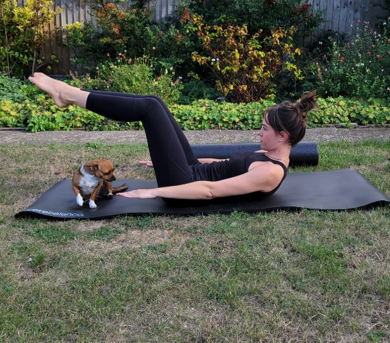 Image representing Pilates for All courses by Coastal Community Learning CIC